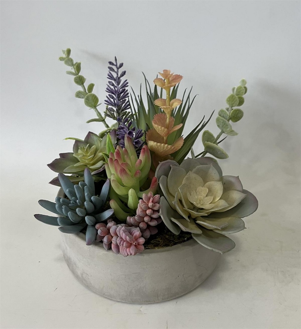 Botanical succulent