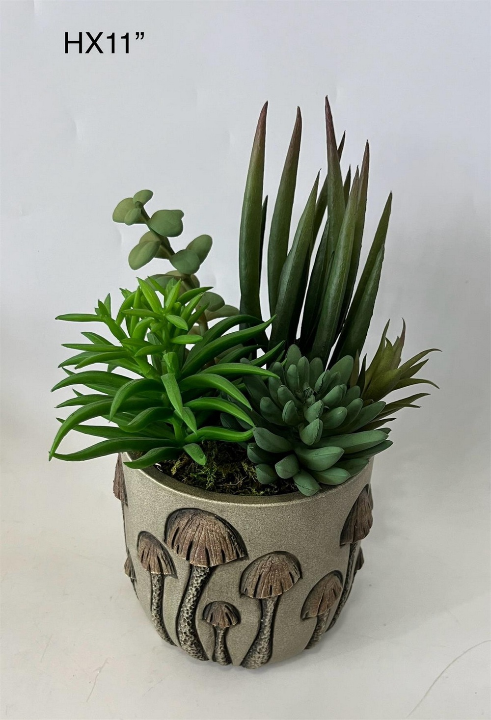 Botanical succulent