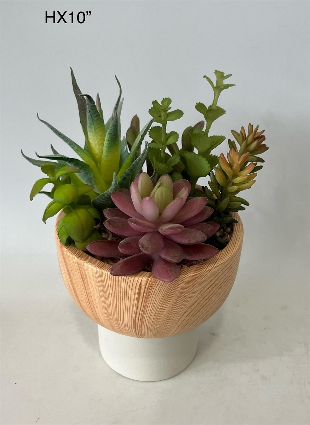 Botanical succulent
