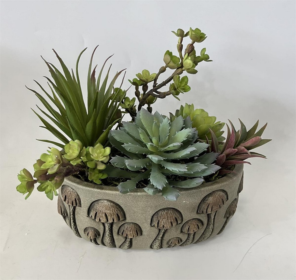 Botanical succulent