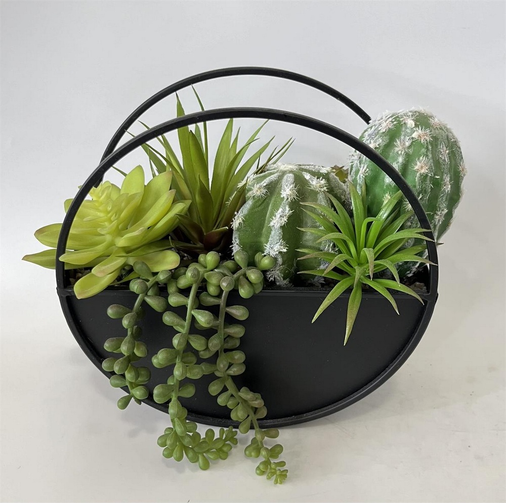 Botanical succulent