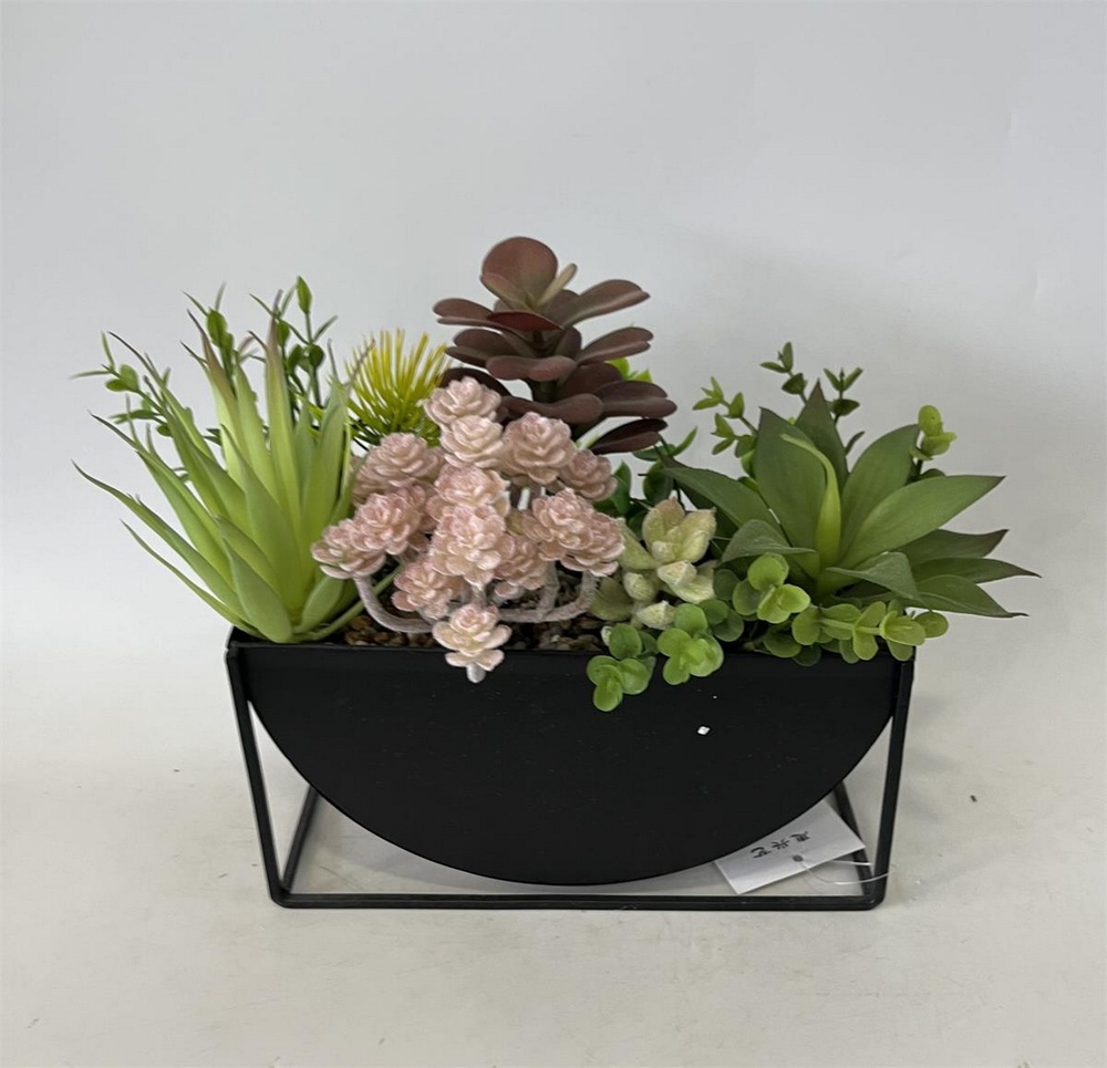 Botanical succulent