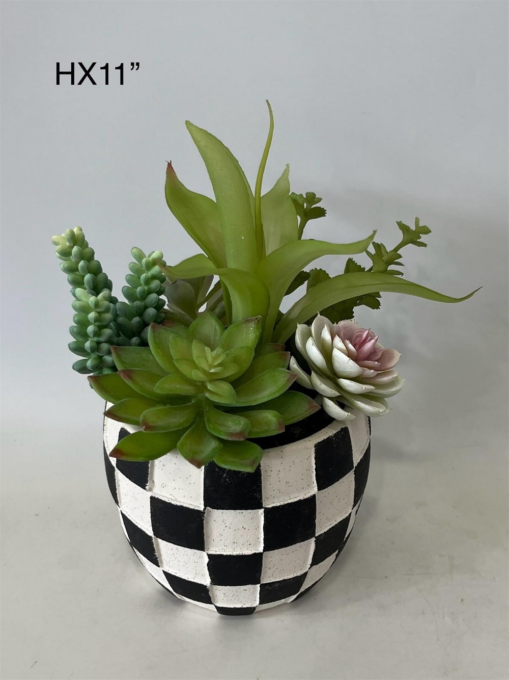 Botanical succulent
