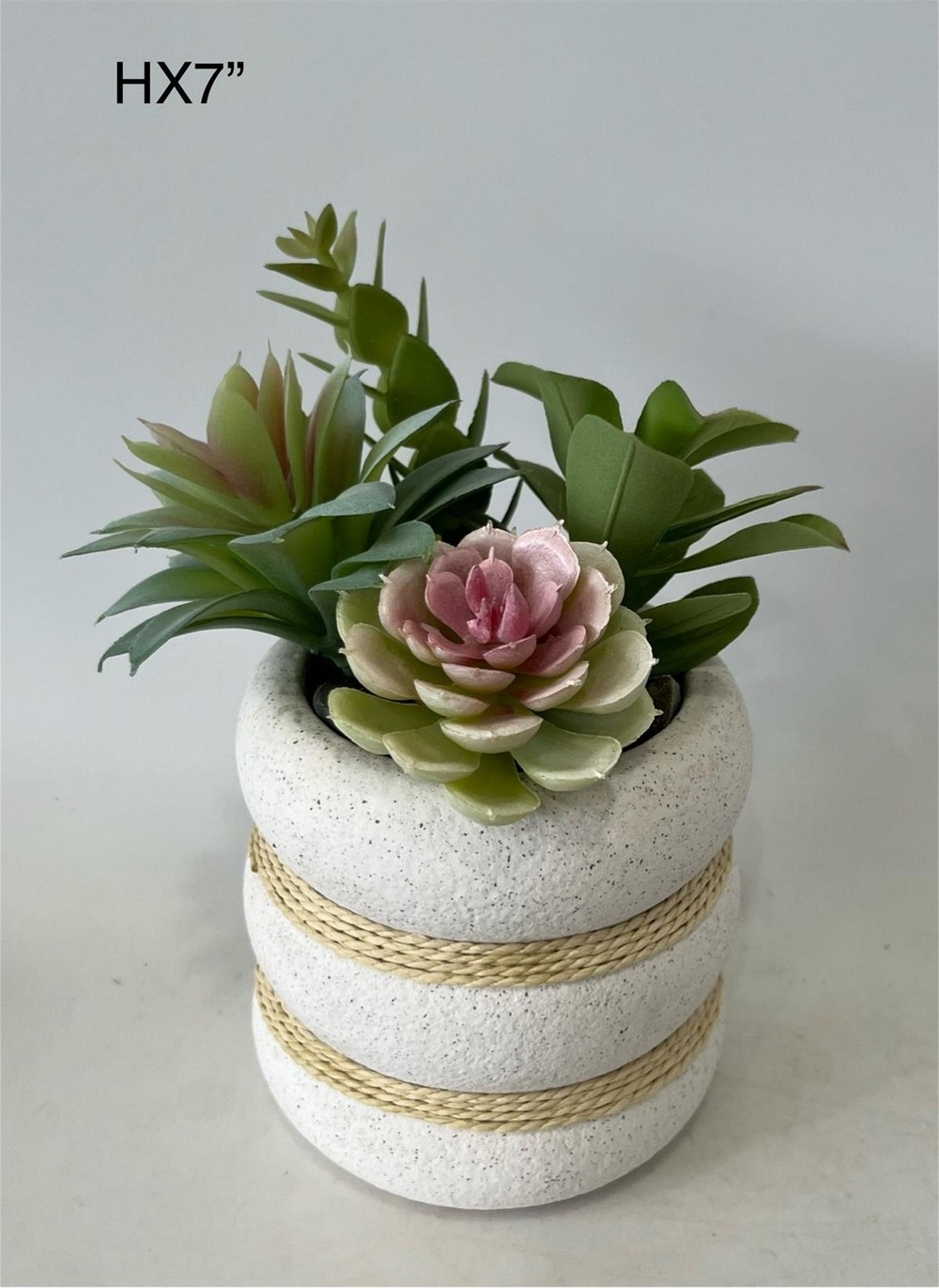 Botanical succulent