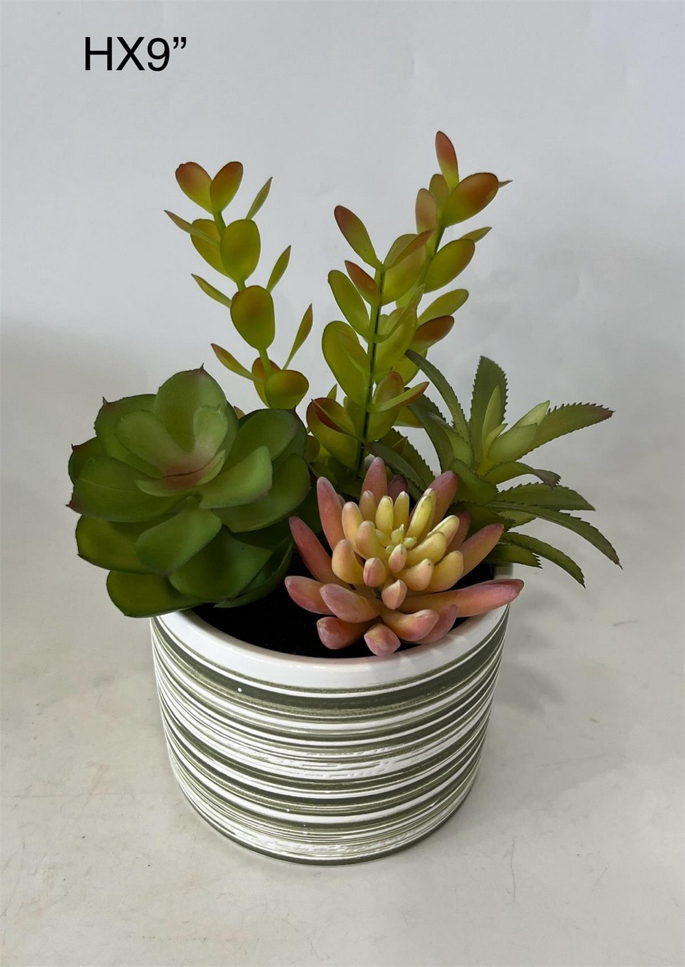 Botanical succulent