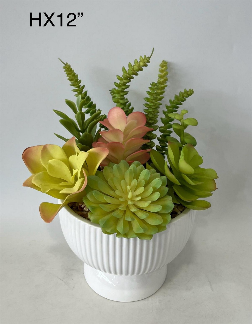 Botanical succulent