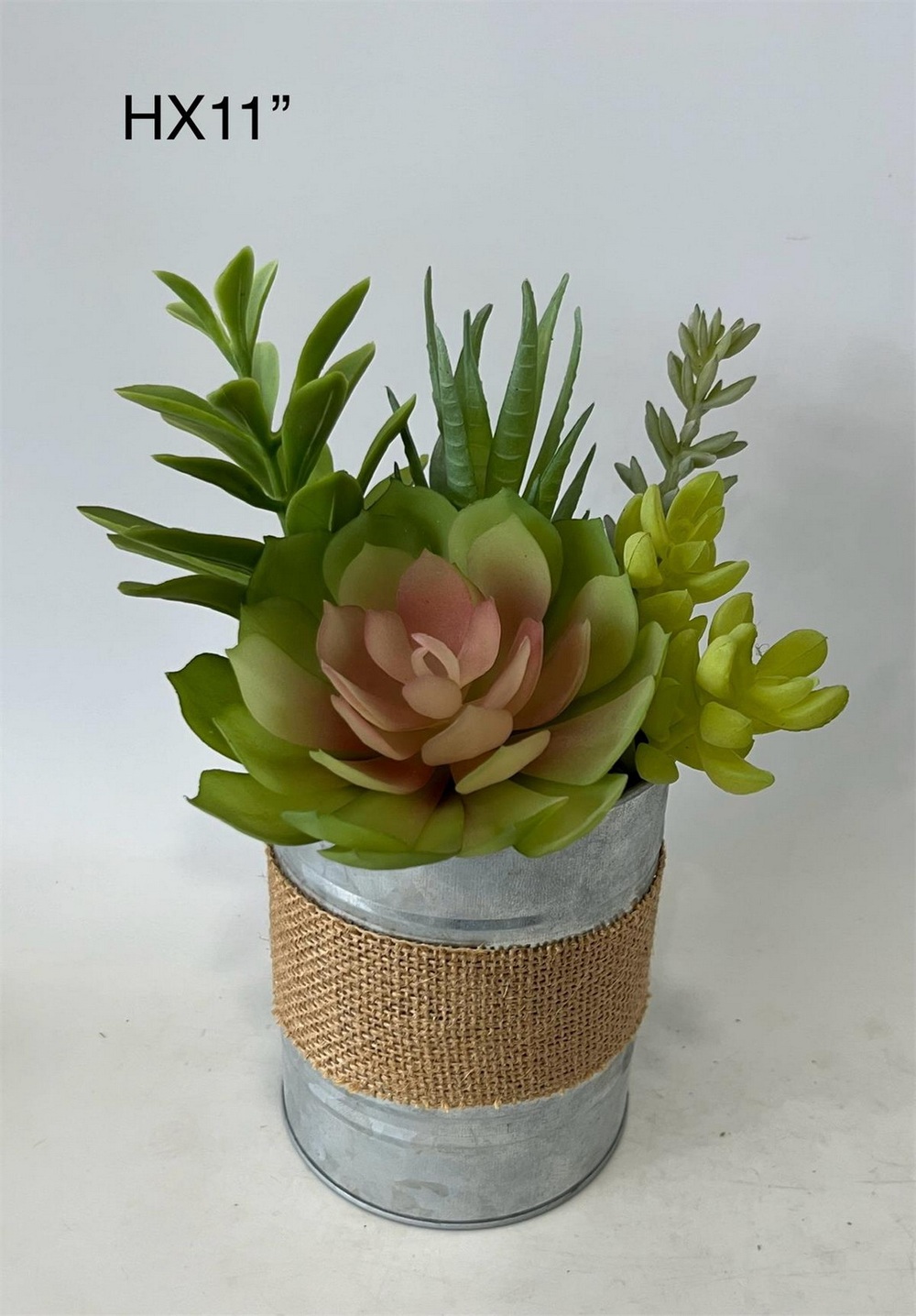 Botanical succulent