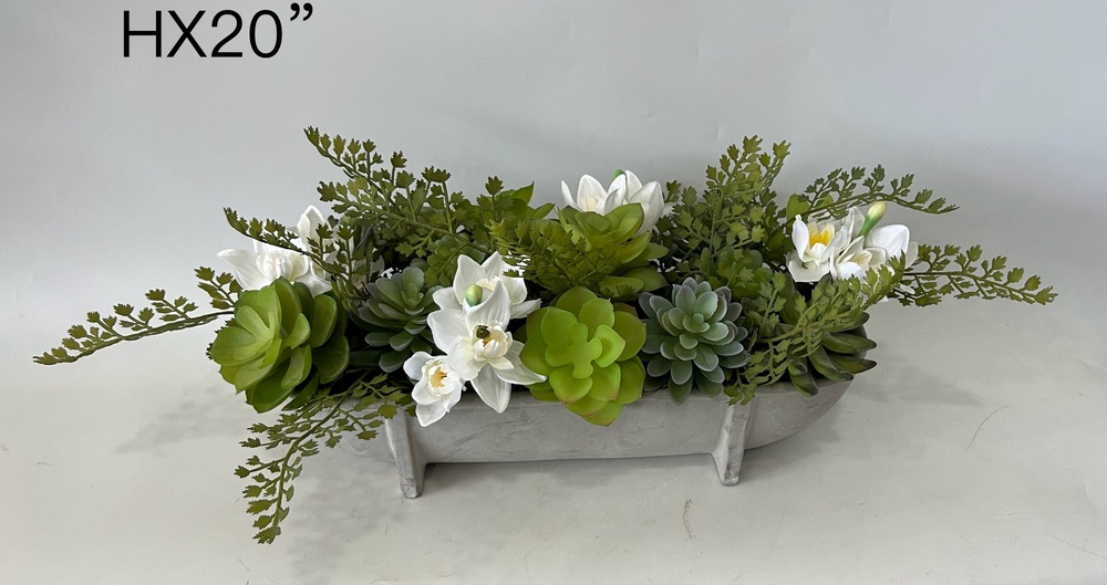 Botanical succulent