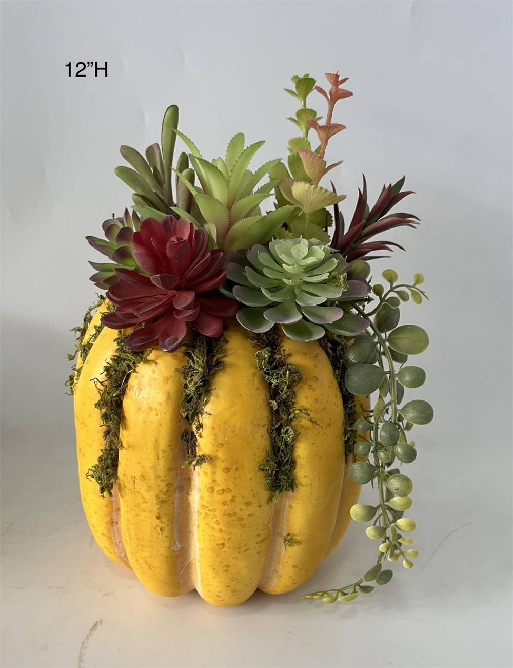 Botanical succulent