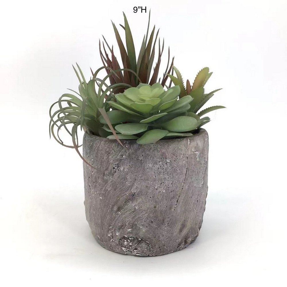 Botanical succulent