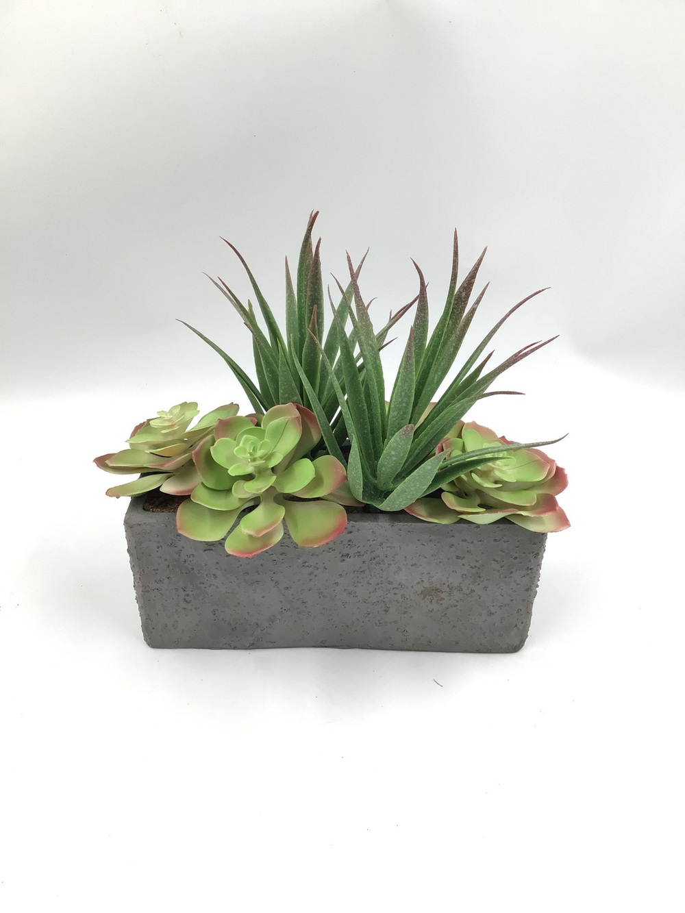 Botanical succulent