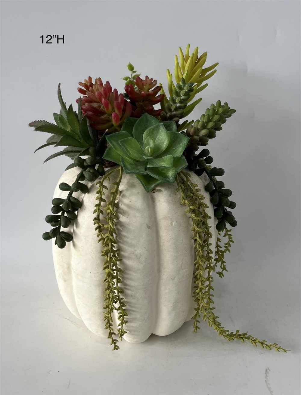 Botanical succulent