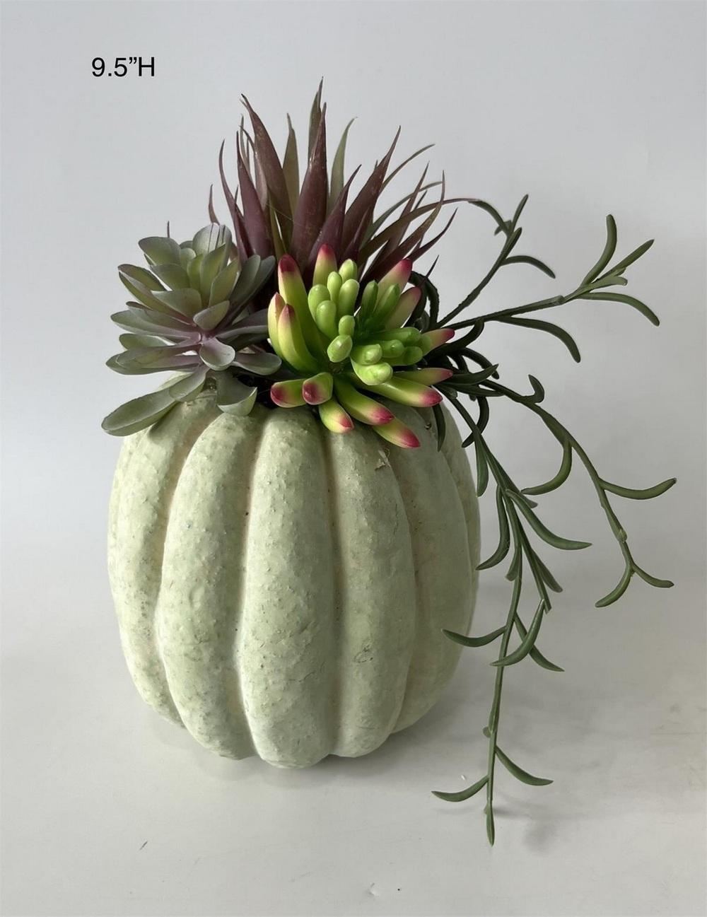 Botanical succulent