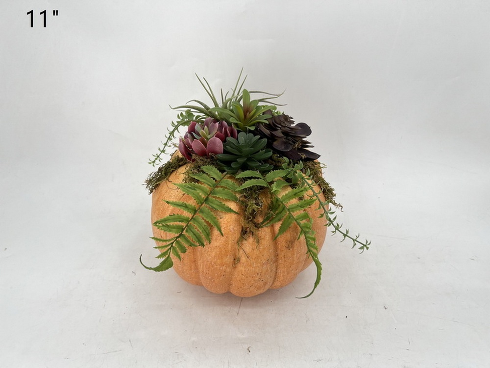 Botanical succulent
