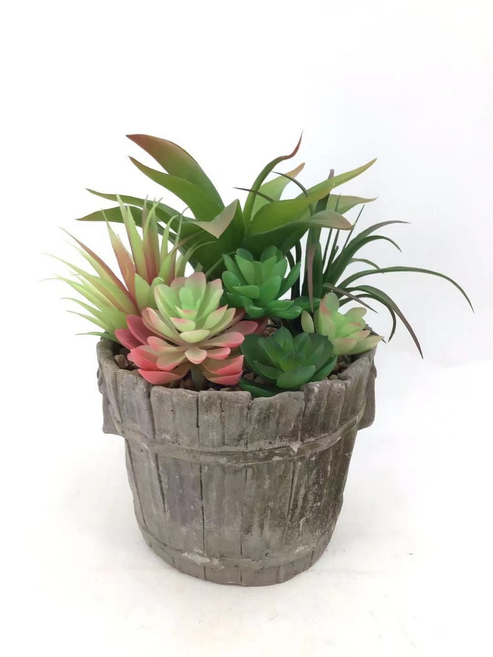 Botanical succulent