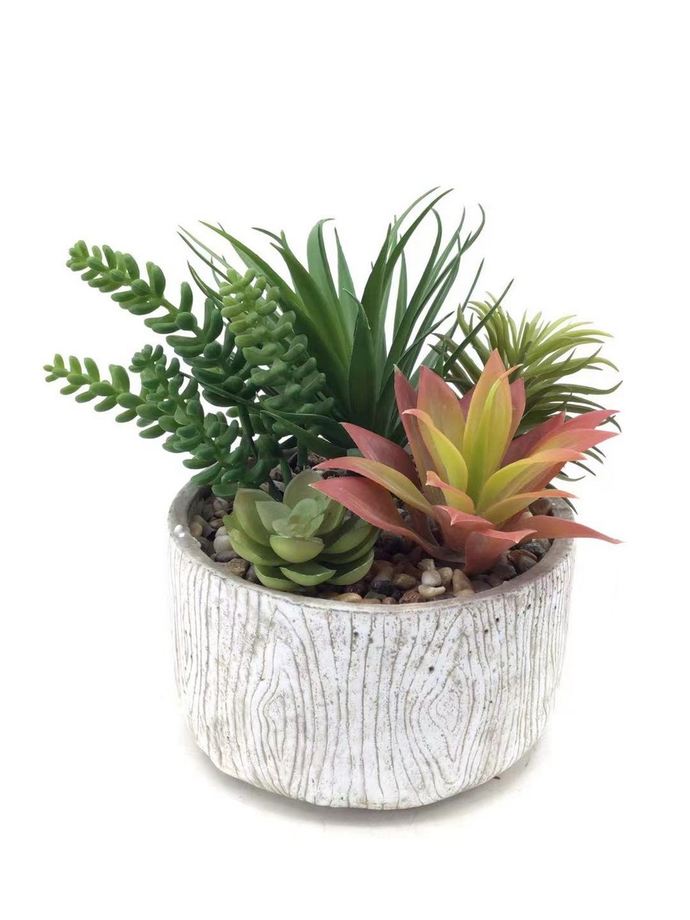Botanical succulent
