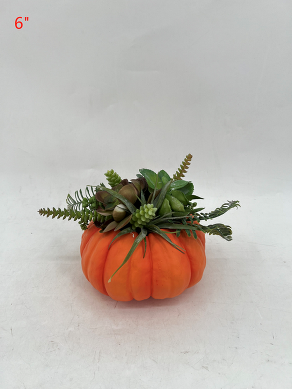 Botanical succulent