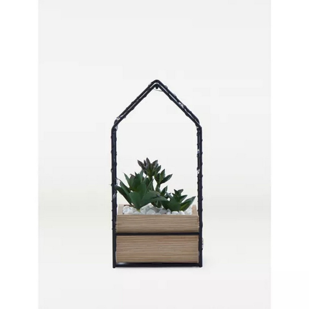 Botanical succulent