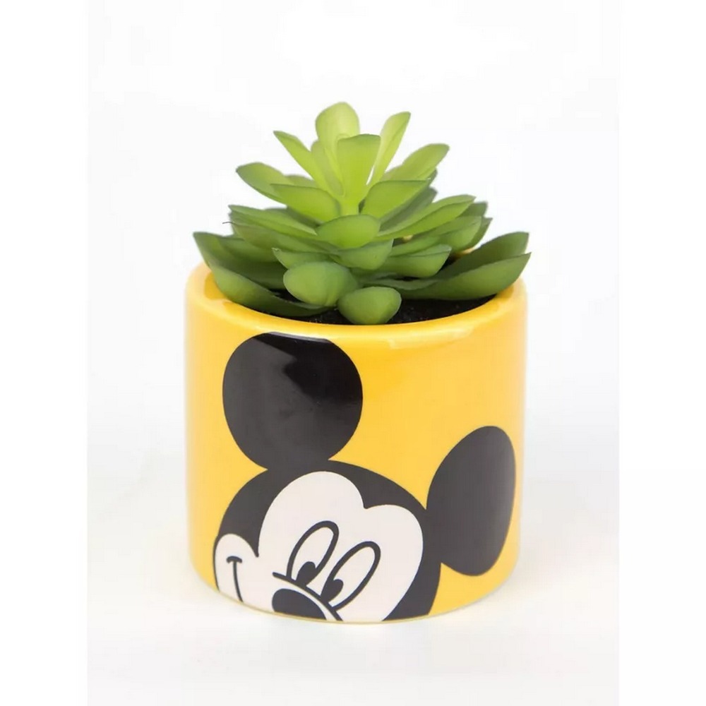 Botanical succulent