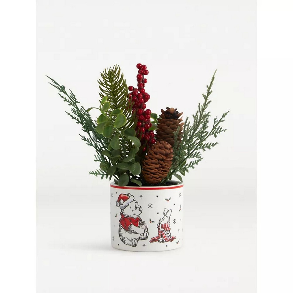 Botanical succulent