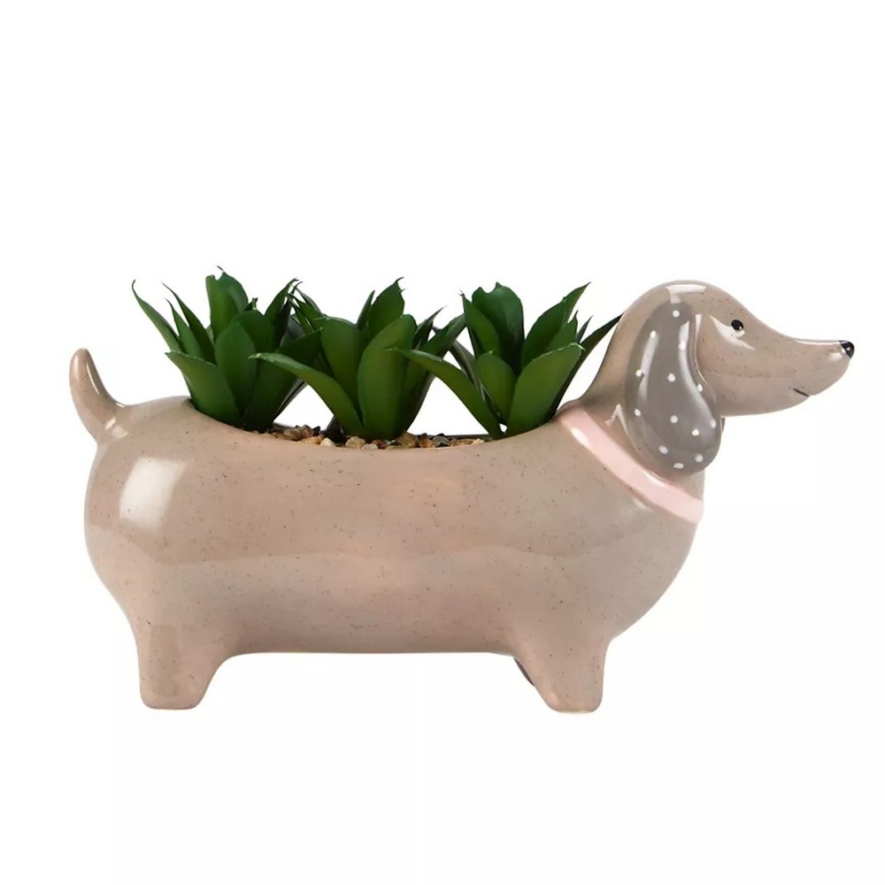 Botanical succulent