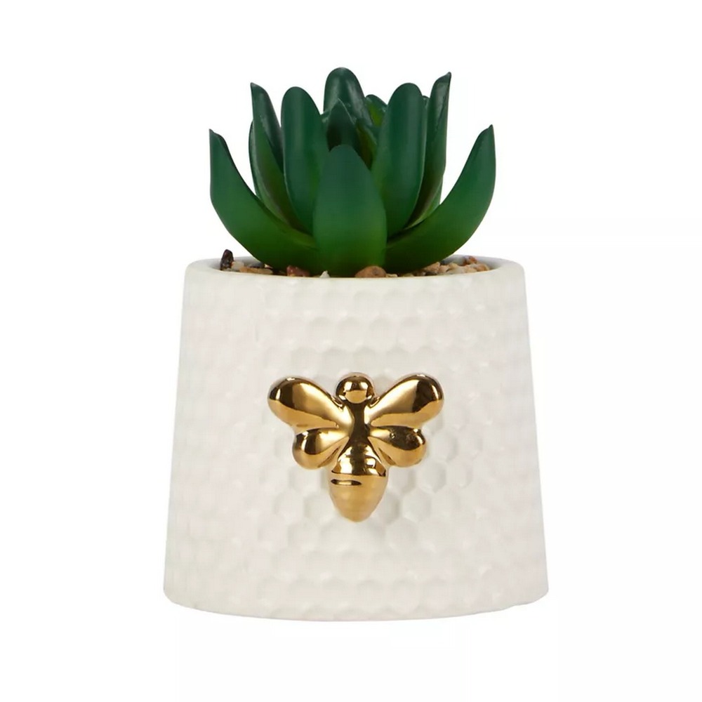Botanical succulent