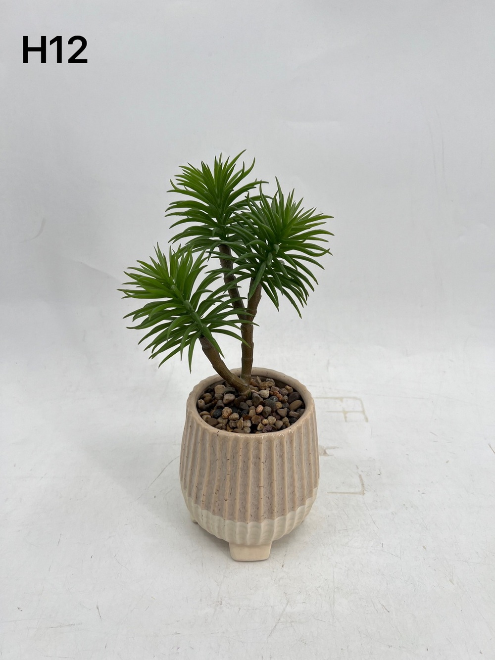 Botanical succulent