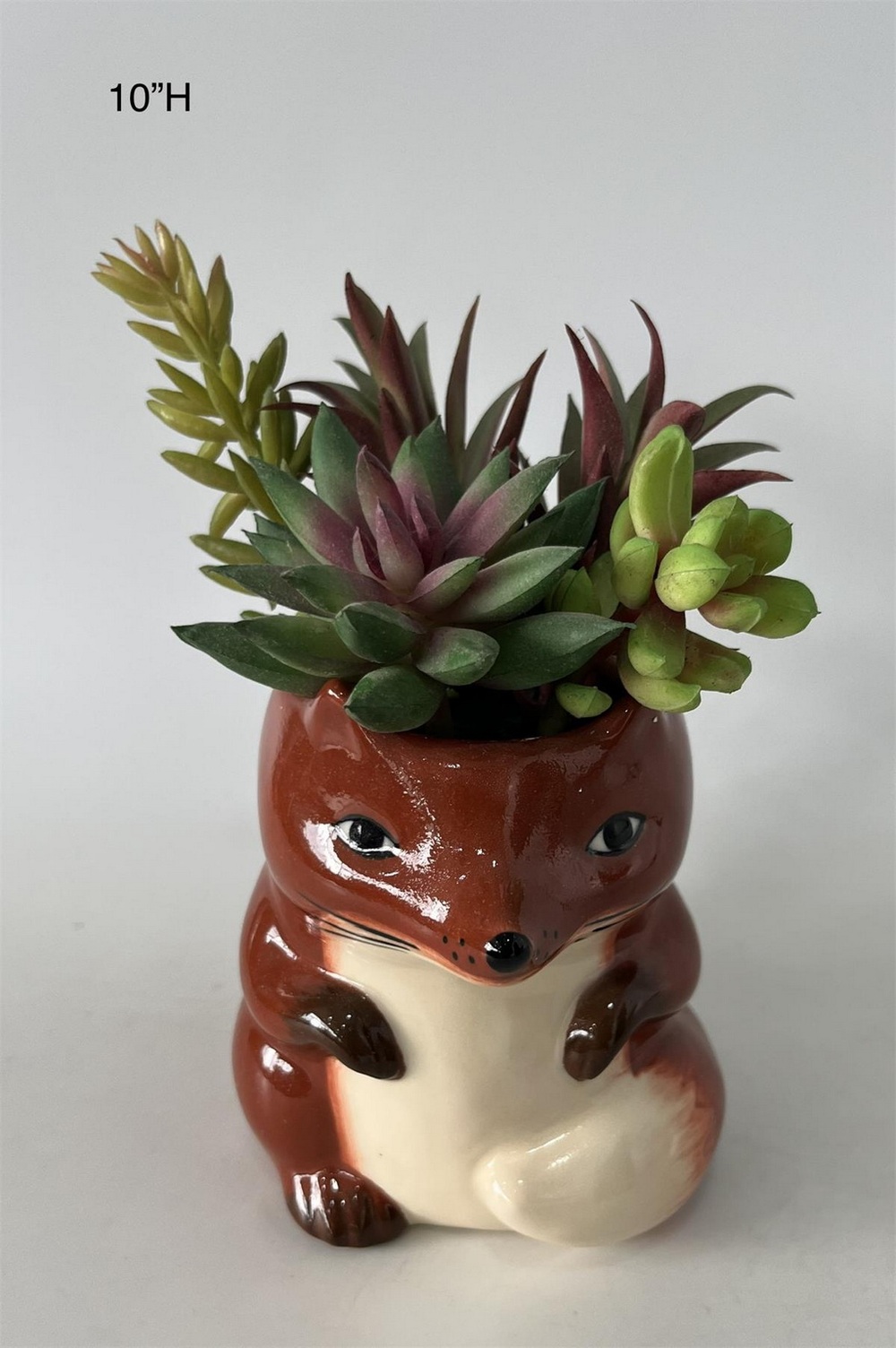 Botanical succulent