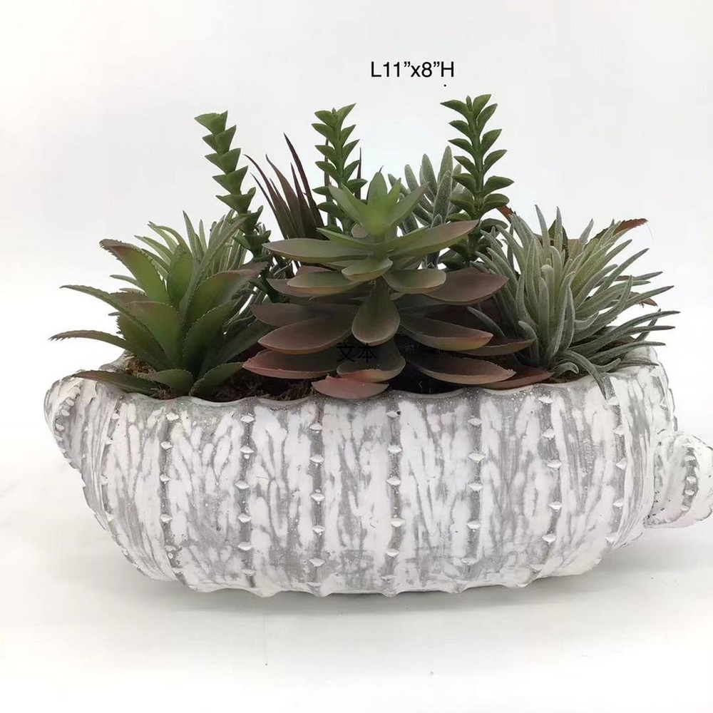 Botanical succulent