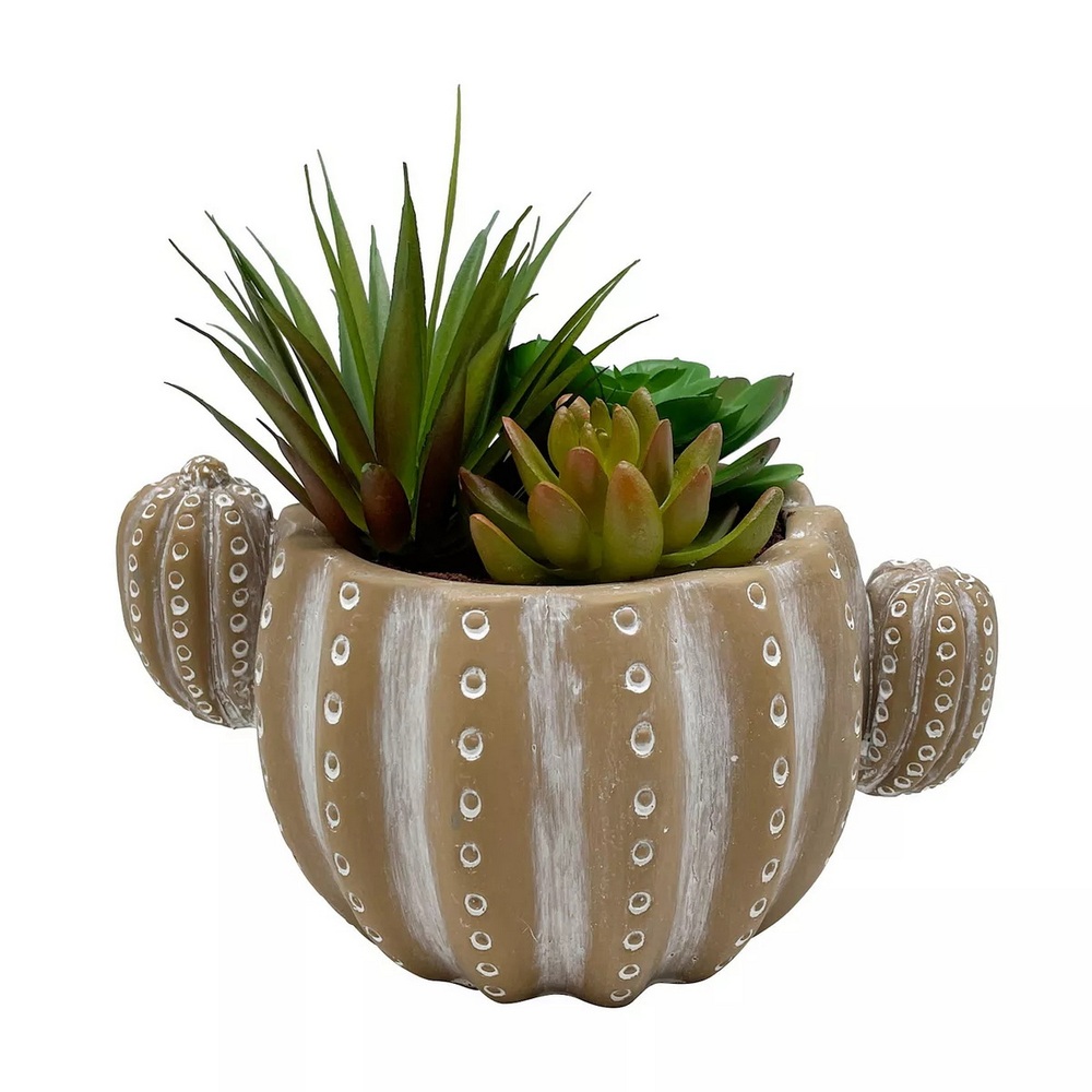 Botanical succulent