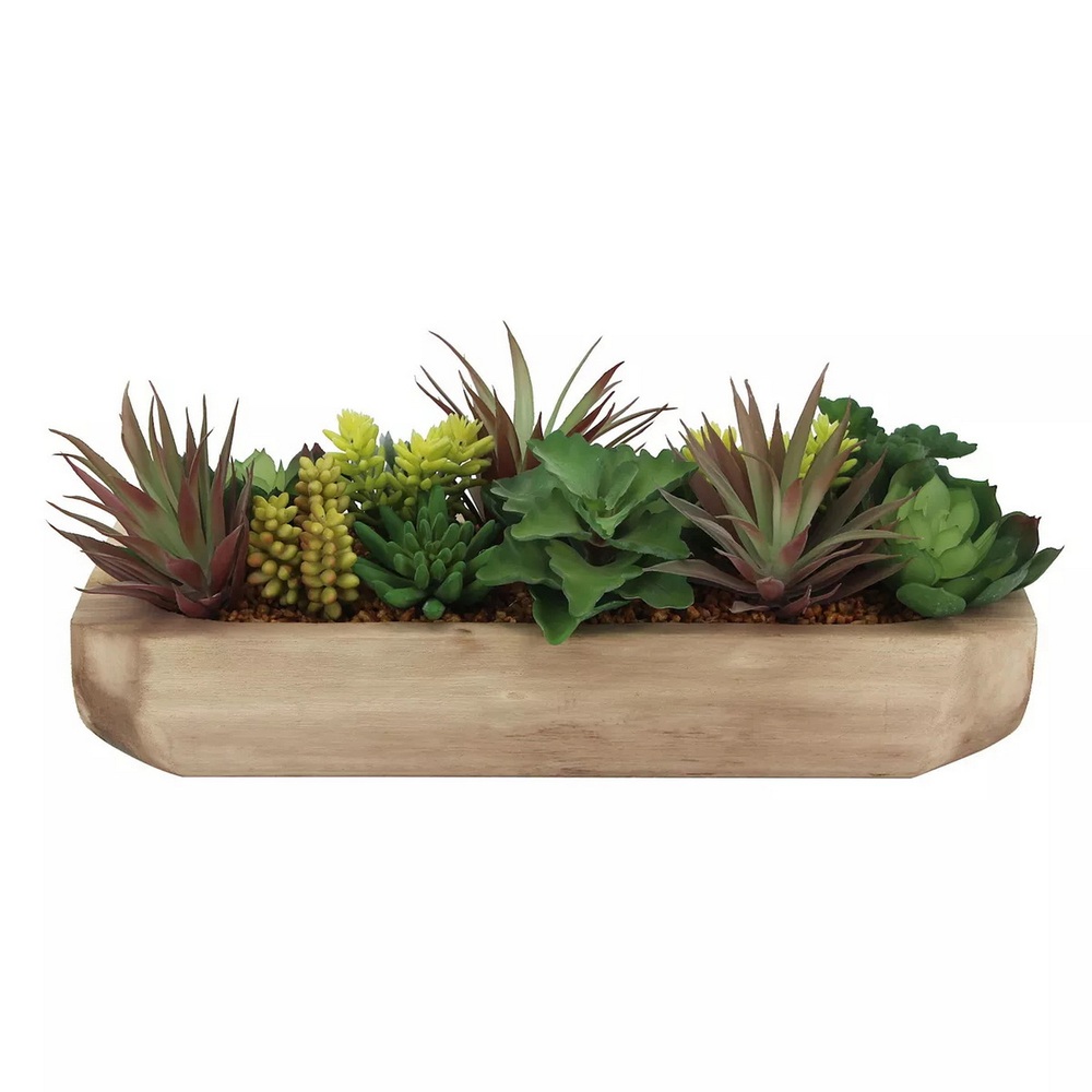 Botanical succulent