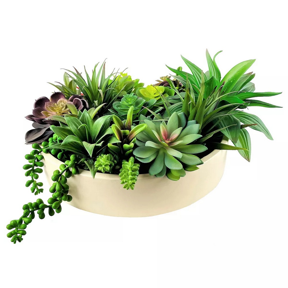 Botanical succulent