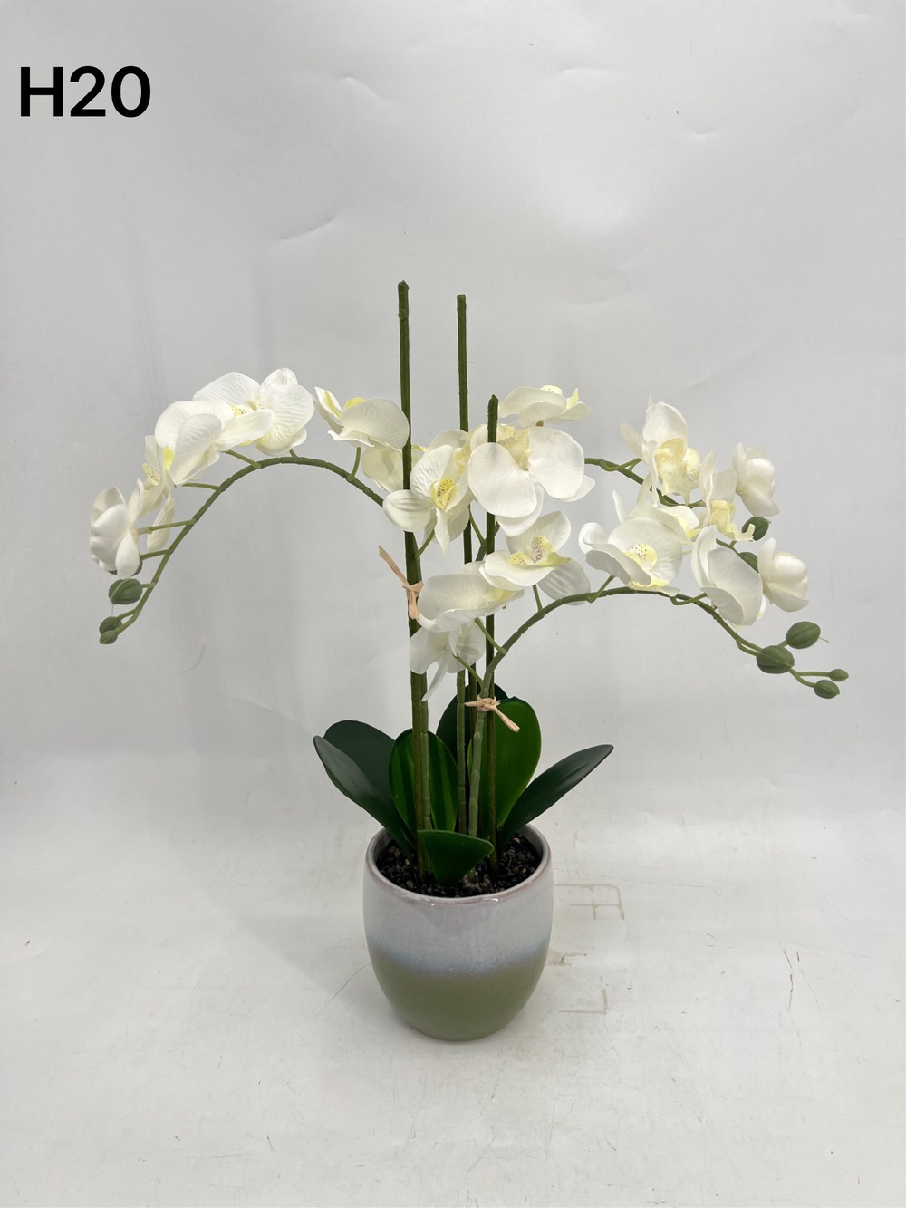 Botanical table decor