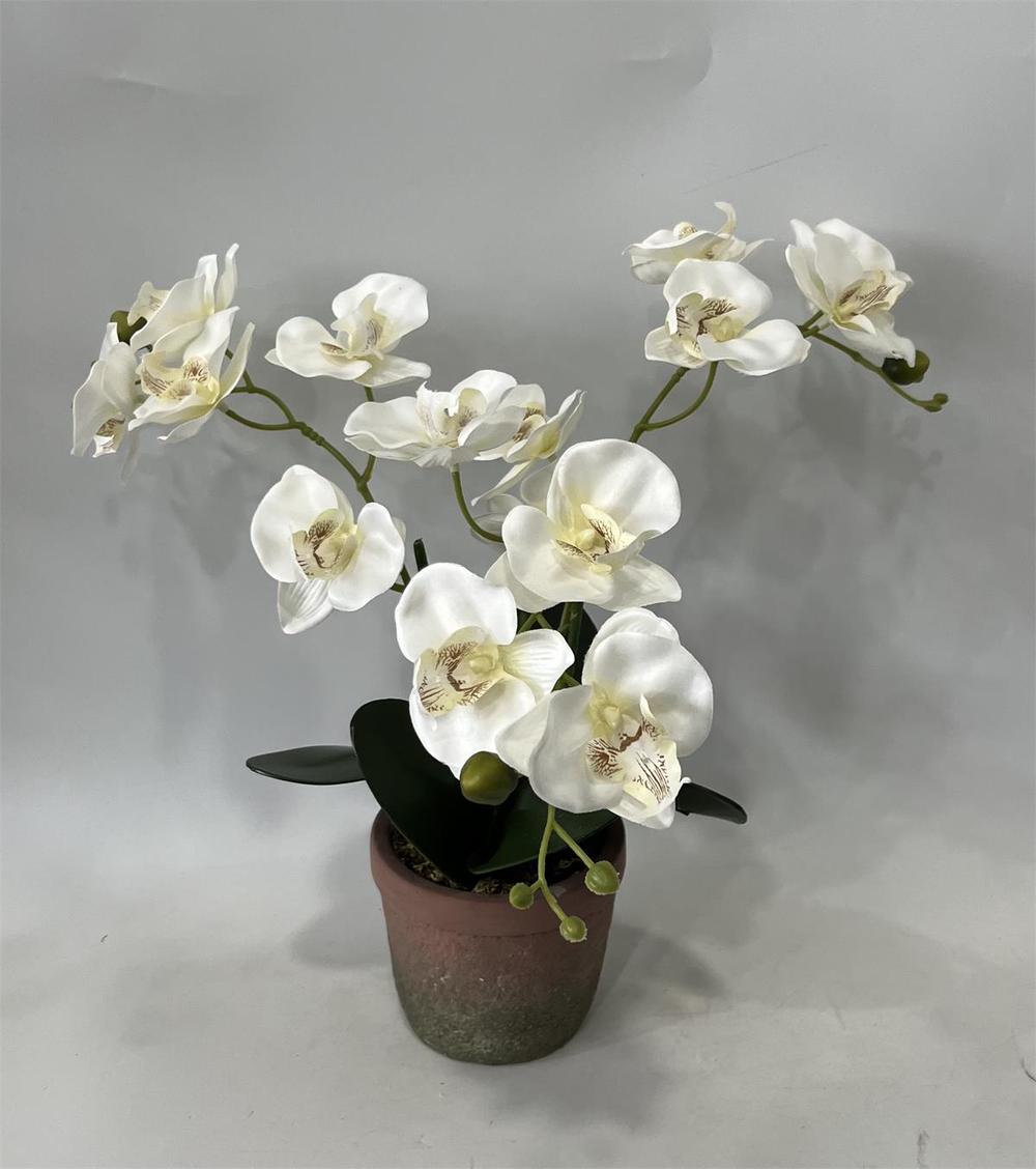 Botanical table decor