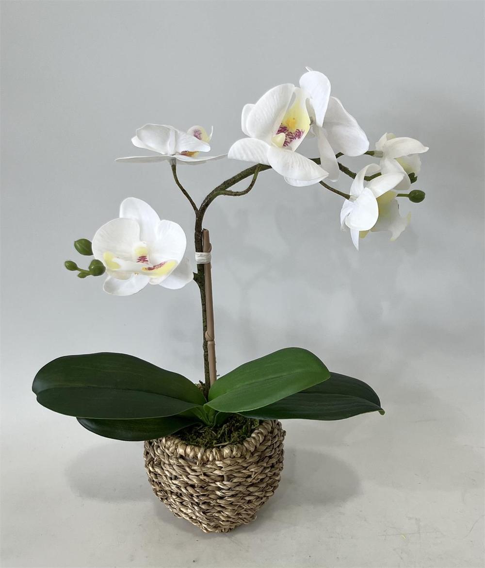 Botanical table decor