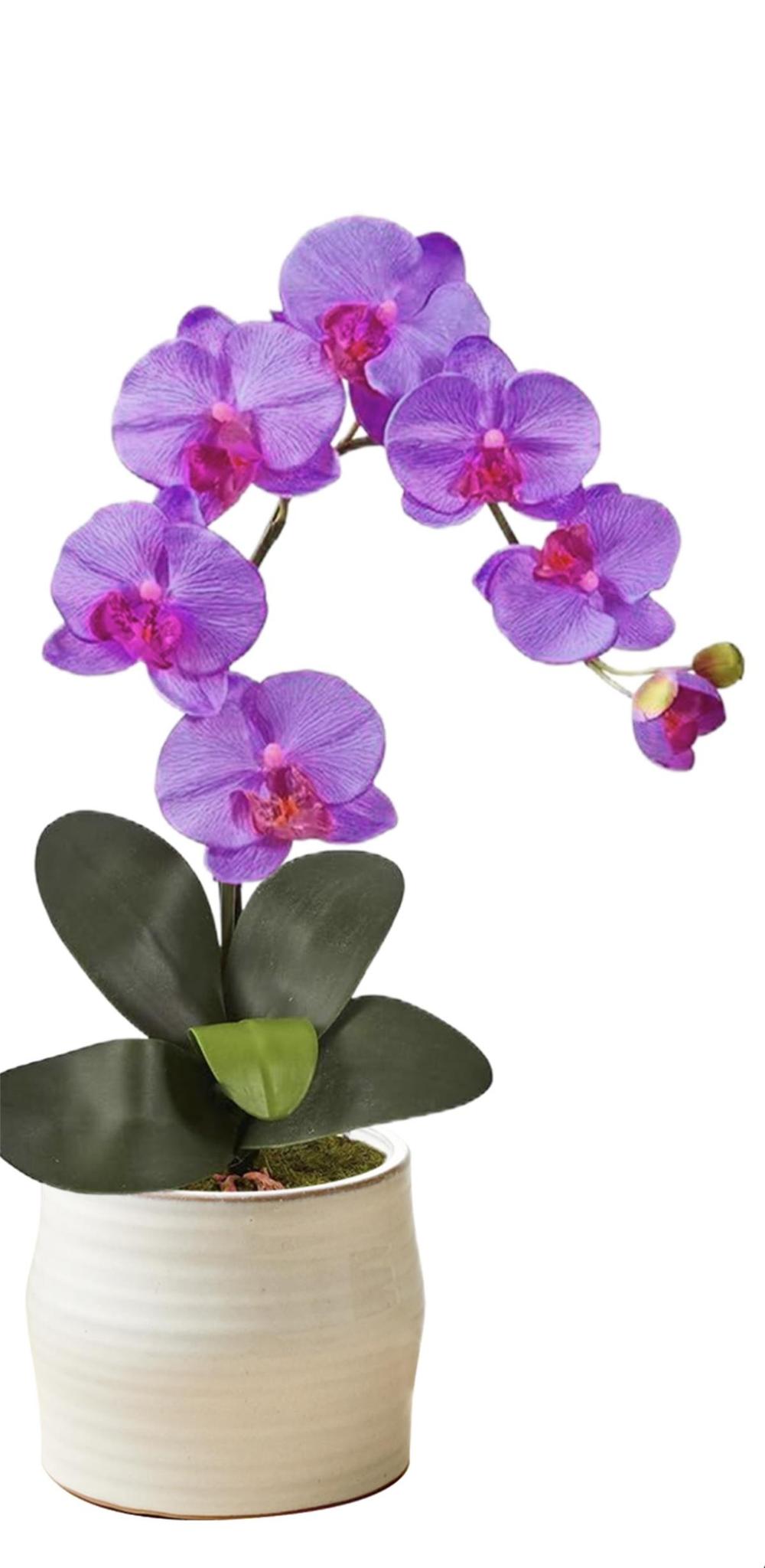 Botanical table decor