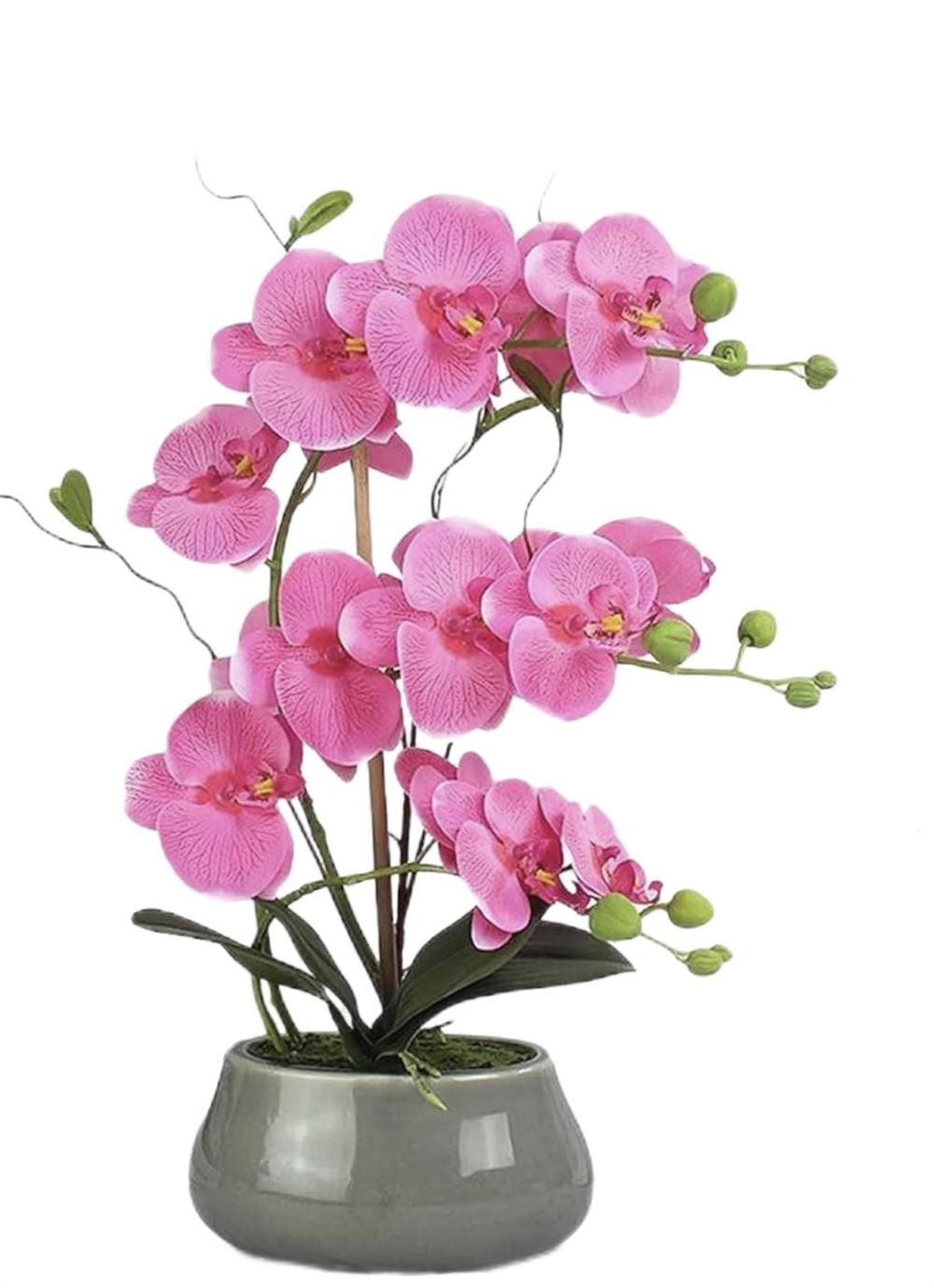 Botanical table decor