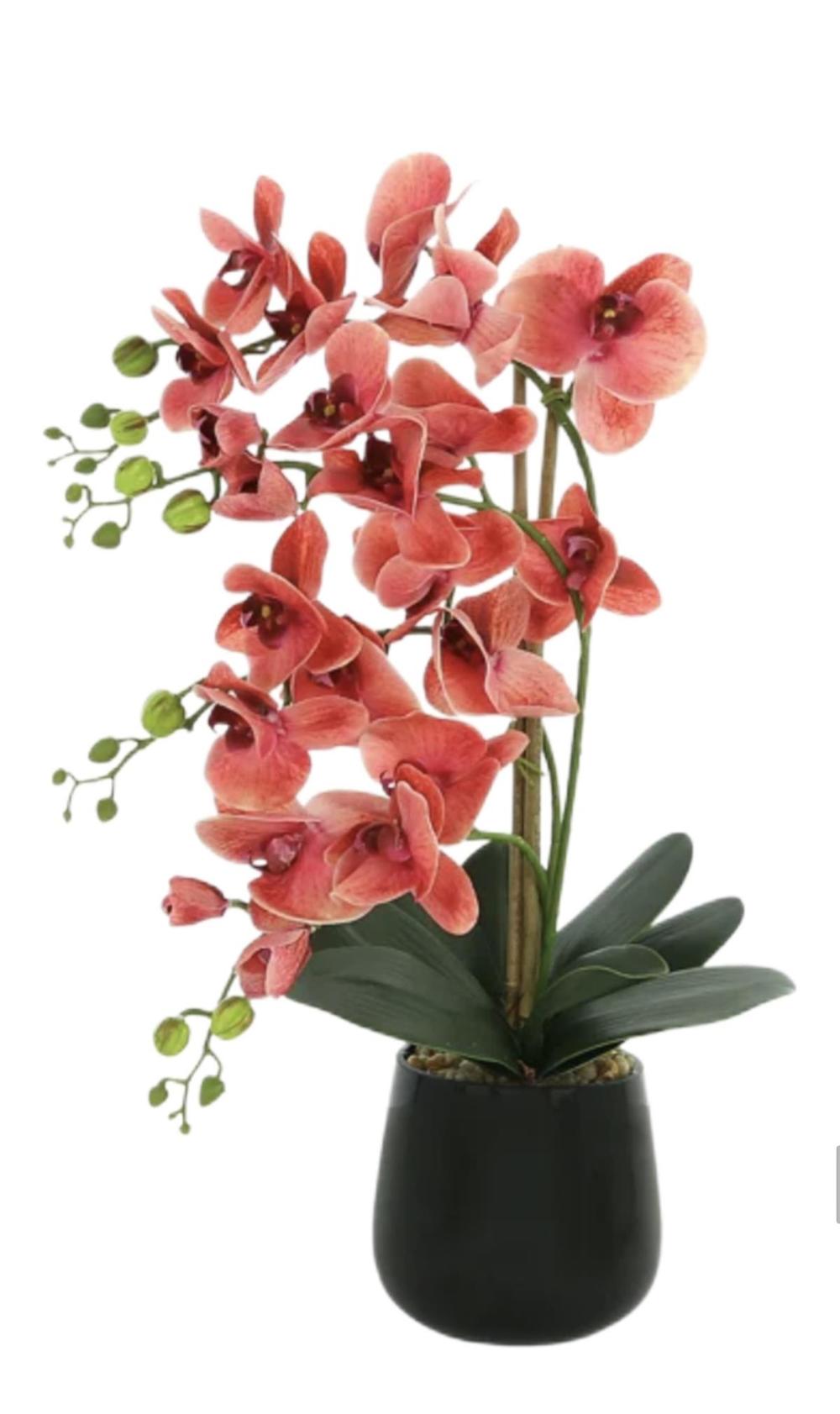 Botanical table decor