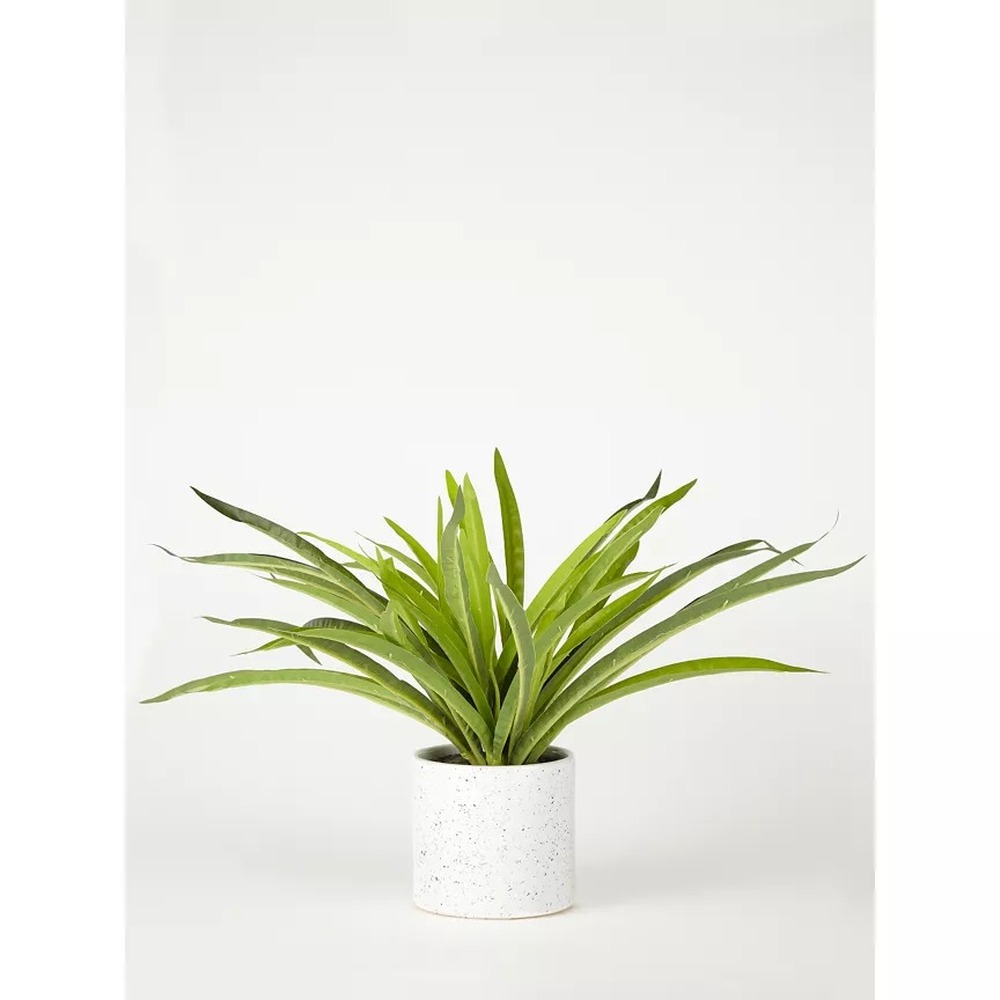 Botanical table decor