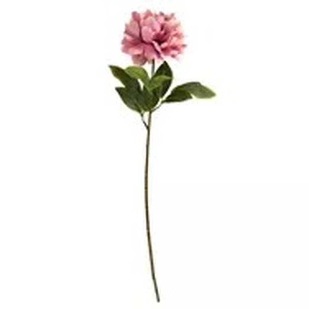 Botanical table decor