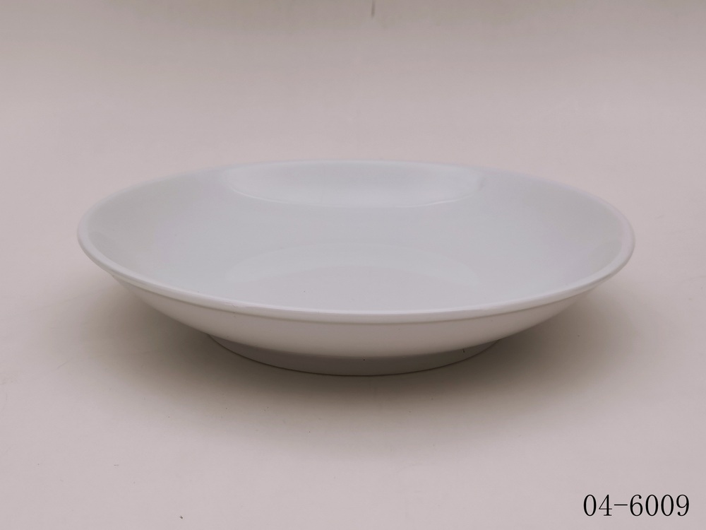 04-6009