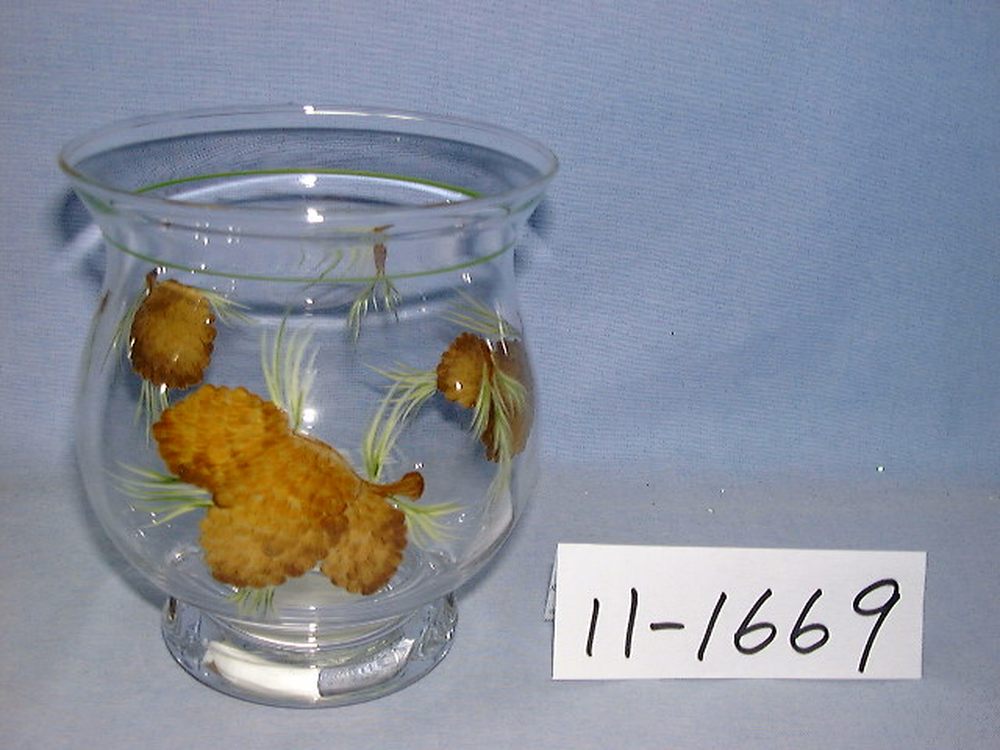 11-1669