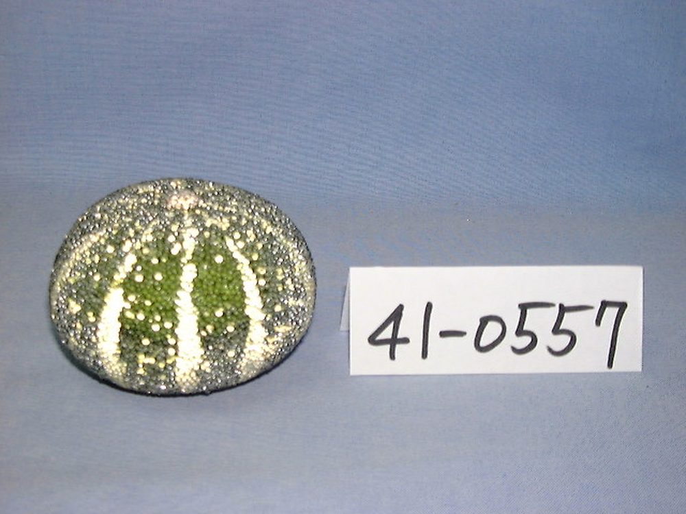 41-0557