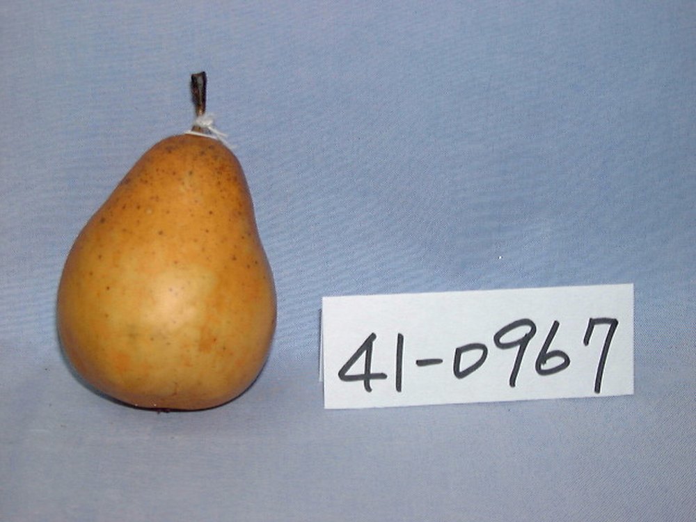 41-0967