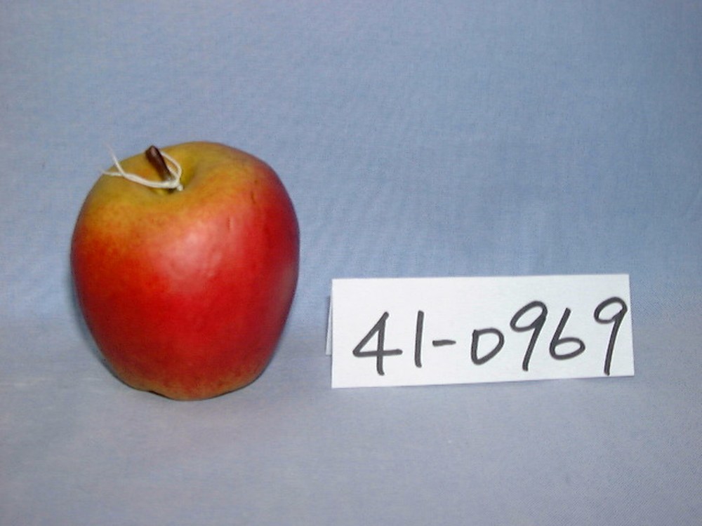 41-0969