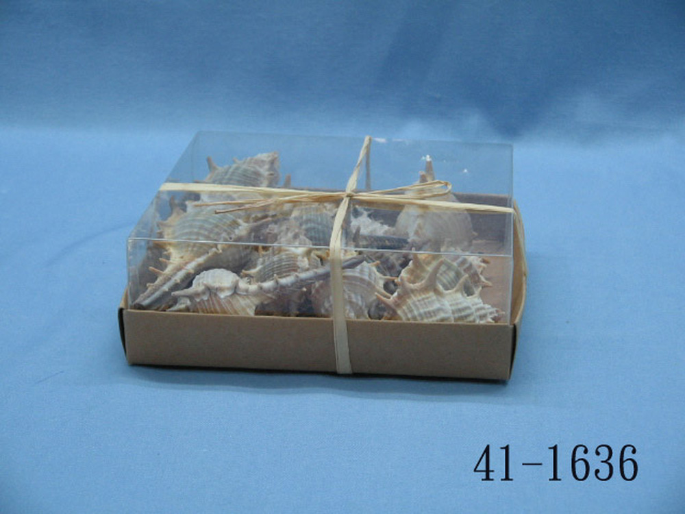 41-1636