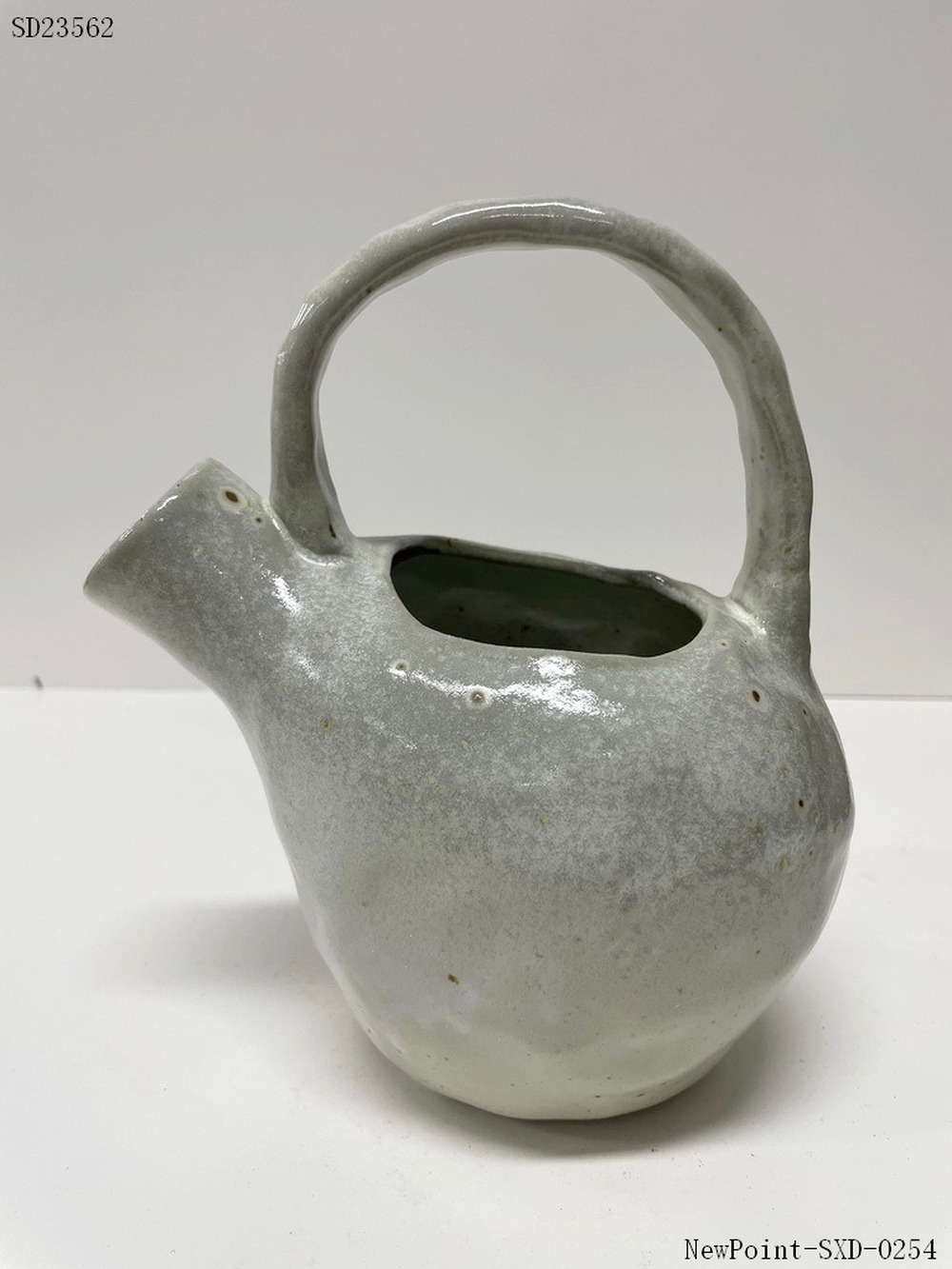 Watering pot